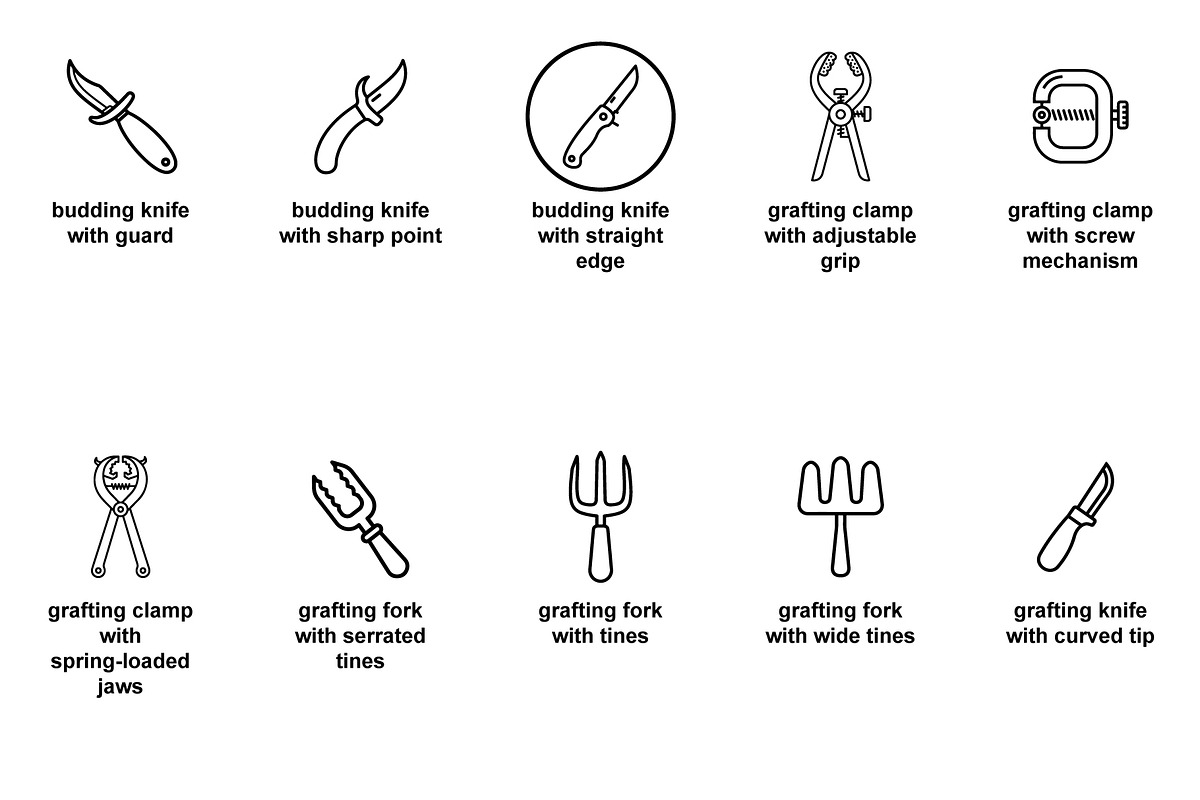 Pruning and grafting tools Icon Set, an Outline Icon by Nurlan's shop (Photo 5 of 6)