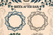 Green After Rain Botanical Set, an Object Illustration by Ink Stories (Thumbnail 5 of 13)