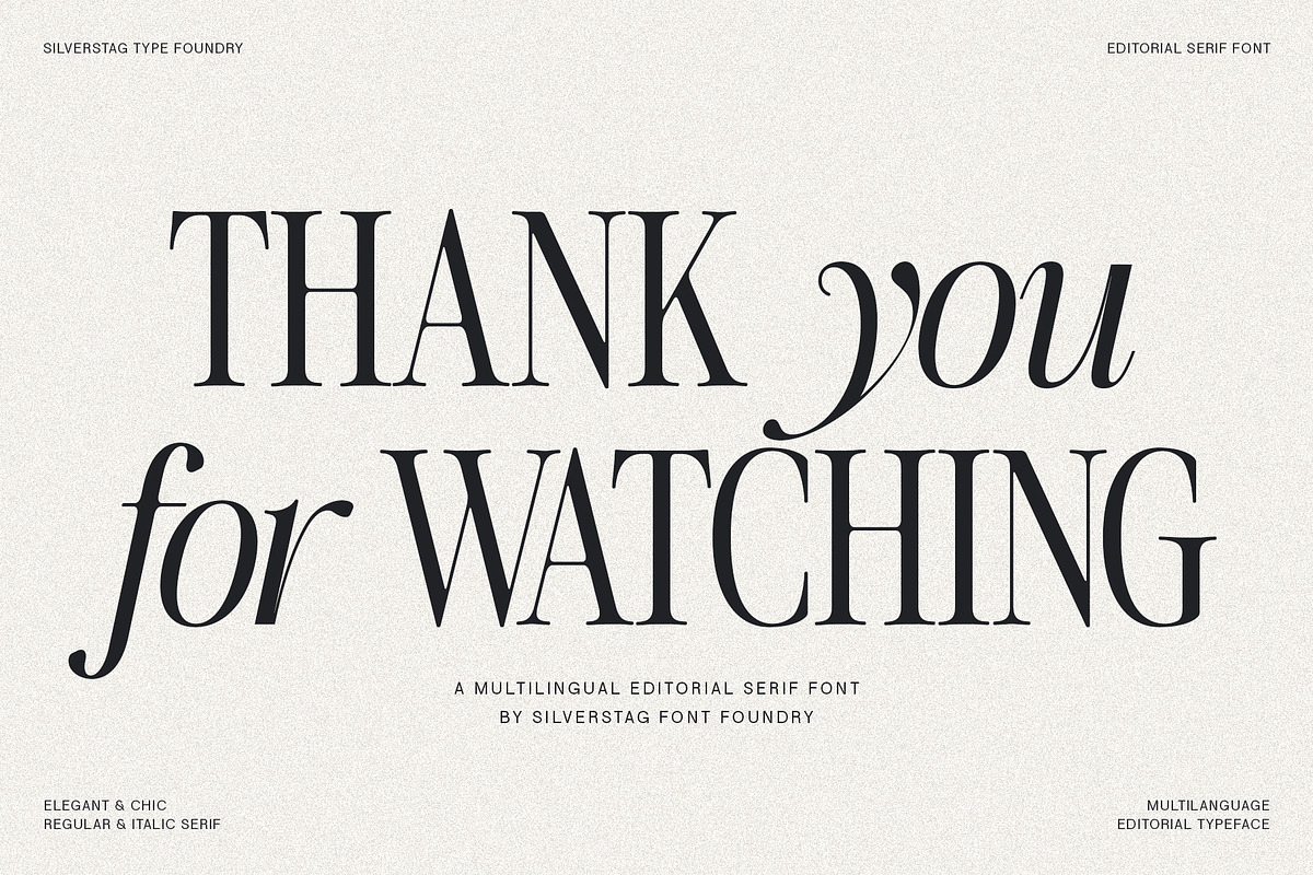 The Silver Editorial Serif Font, a Serif Font by SilverStag Type Foundry (Photo 25 of 25)