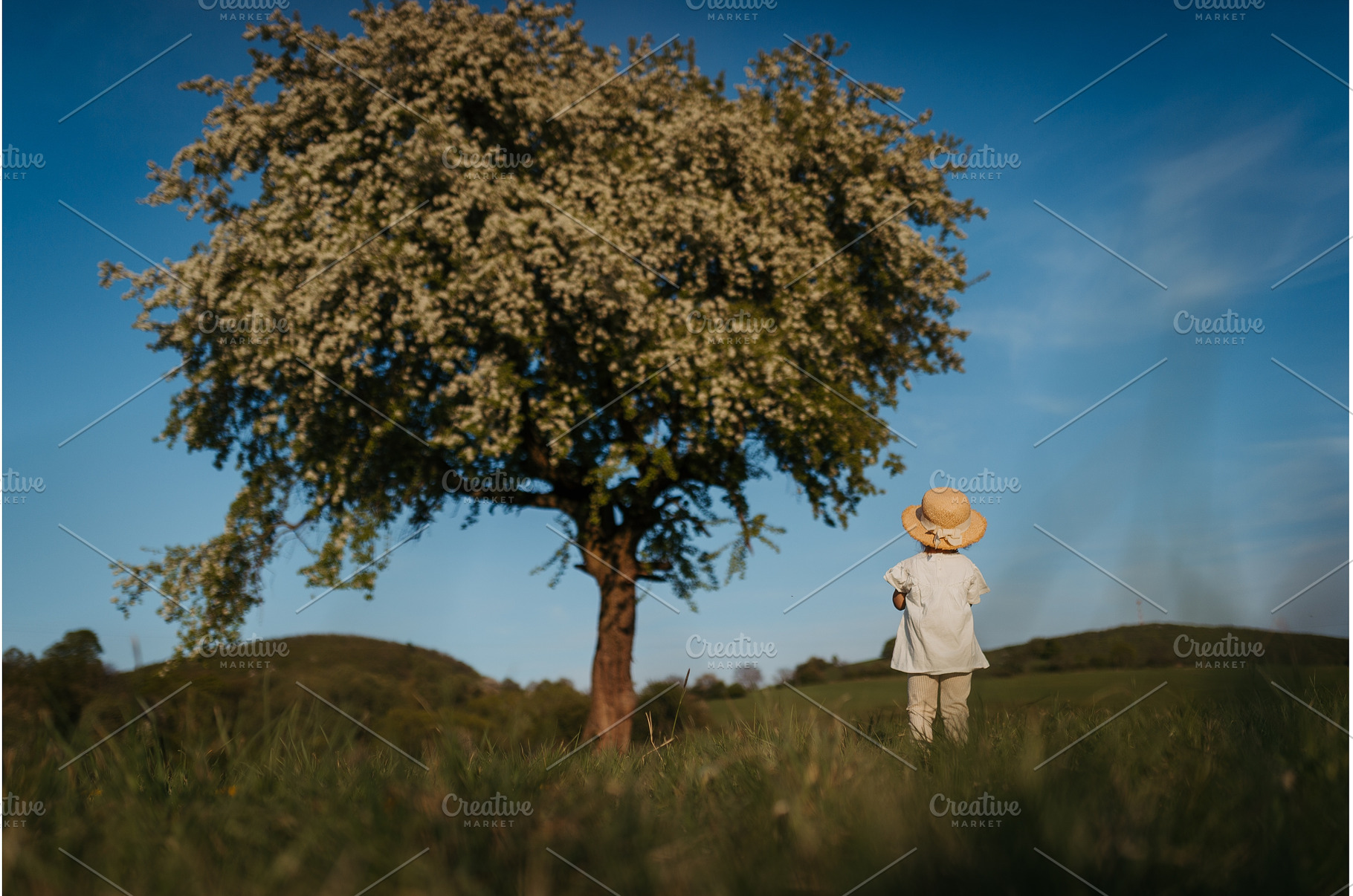 Rear view of small toddler girl, a Person Photo by HalfPoint