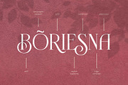 Novante | Display Serif, a Serif Font by Arterfak Project (Thumbnail 8 of 13)