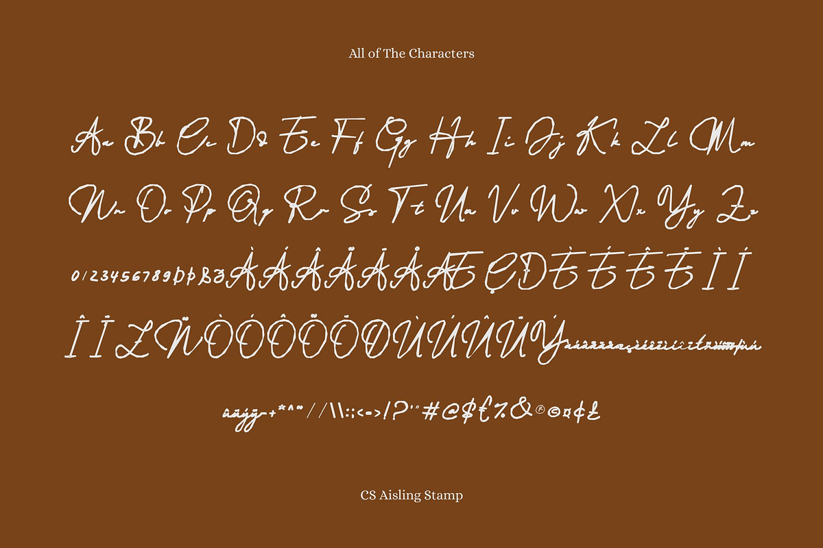 CS Aisling Stamp, a Script Font by Craft Supply Co. (Photo 7 of 7)