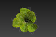 lettuce grean, a Food & Drink 3D Model by AndrewWhite (Thumbnail 5 of 16)