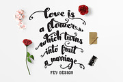 Nightamore Brush + Bonus Font, a Script Font by FHFont (Thumbnail 6 of 9)