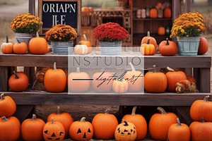 11 Halloween Fields Backdrops