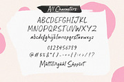 Strange Ink Font, a Handwritten Font by Timurtype (Thumbnail 6 of 7)