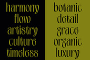 PRAK Moroway - Luxury Display Font, a Sans Serif Font by Healltica.std (Thumbnail 3 of 24)