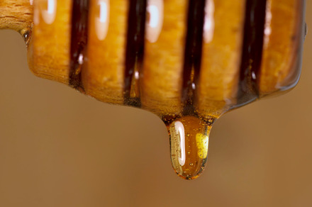 honey dipper close up with the organic product flowing