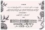 Maldina Feminime (4 fonts), a Script Font by Fortunes Co (Thumbnail 8 of 10)