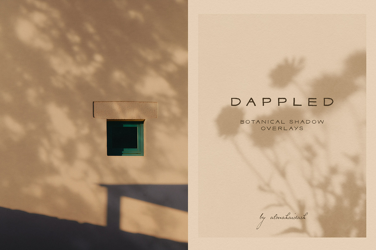 Dappled - Botanical Shadow Overlays, a Texture Graphic by alonahaidash (Photo 1 of 16)