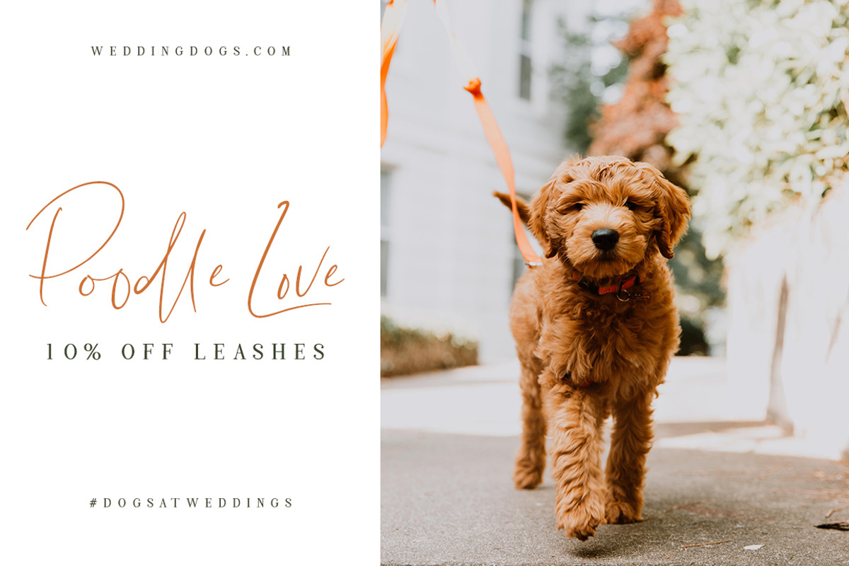 Lightheartedly Signature style font preview 4
