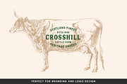 Cattle - Vintage Illustration Set, an Animal Illustration by Graphic Goods (Thumbnail 9 of 9)
