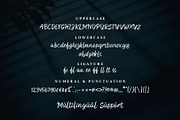 Mission Lemon Handlettering Font, a Handwritten Font by Signatoro (Thumbnail 10 of 10)