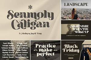 SALE! Modern & Stylish Serif Font