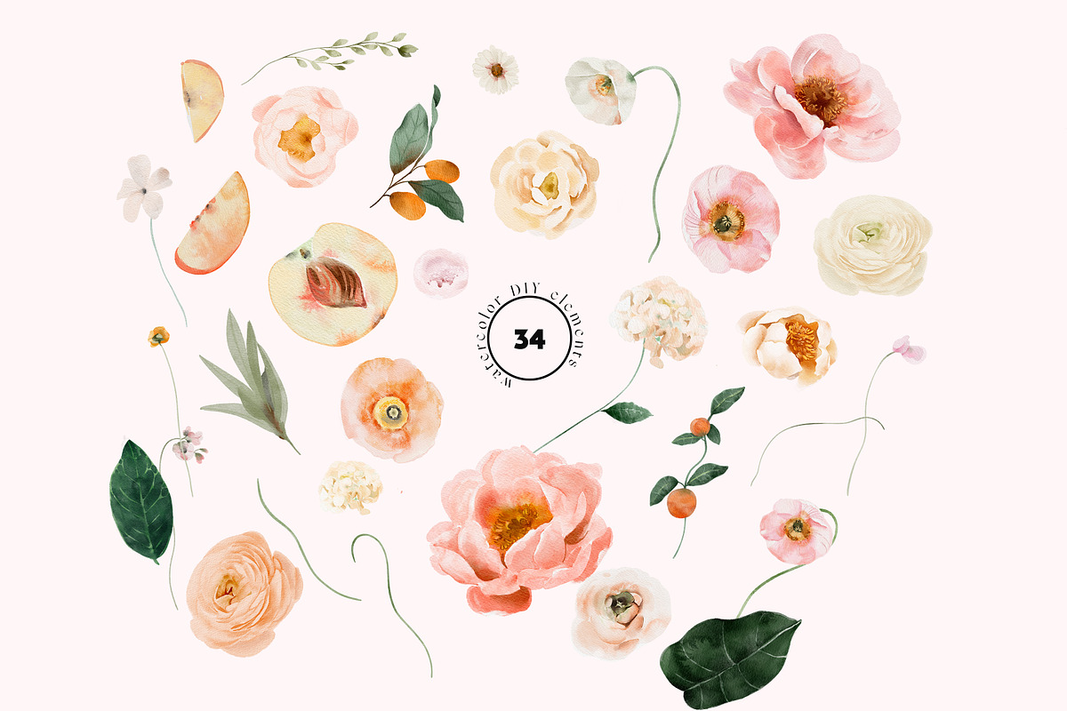 FRUIT SORBET - Summer Set, an Illustration by Isabelle Salem (Photo 7 of 11)