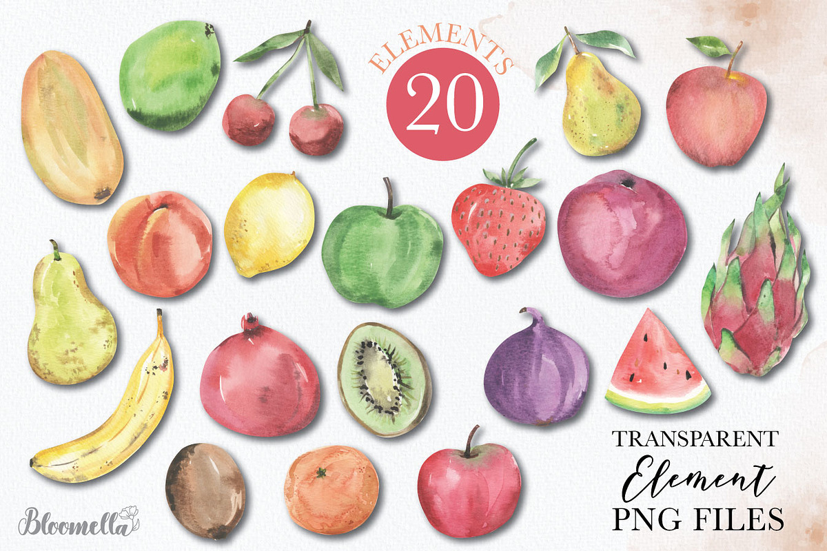 Watercolour Fruit Set Exotic, a Food Illustration by Bloomella (Photo 5 of 5)