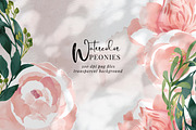 Watercolor flowers, Peony, botanical, an Illustration by Personal Epiphany (Thumbnail 1 of 7)