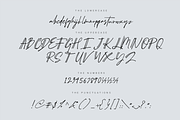 Schrödinger's | Signature Font, a Script Font by Ardana Creative (Thumbnail 11 of 12)