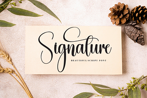 Sweety Script Font