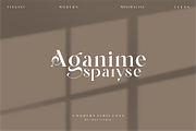 AVGAF - A Modern Serif Font, a Serif Font by Vroz Studio (Thumbnail 8 of 12)