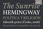 Austera Text Essential #3, a Serif Font by Corradine Fonts (Thumbnail 11 of 14)