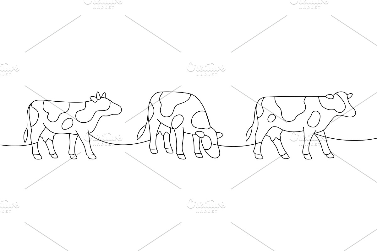 Three cows in a row. Continuous, an Animal Illustration by GraphiShop