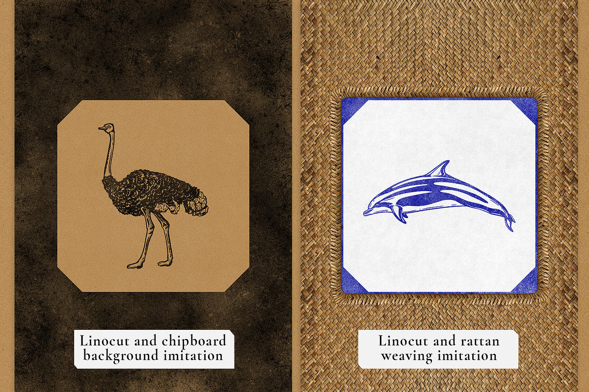 Colonial style Animals posters, an Animal Illustration by Garden in frame (Photo 10 of 11)
