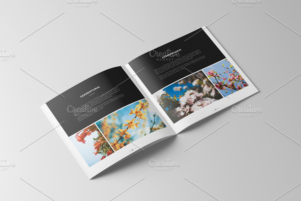 Square Portfolio Brochure, a Brochure Template by ShapShapy (Photo 4 of 11)