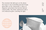 CS Boris – Elegant Font, a Serif Font by Craft Supply Co. (Thumbnail 2 of 8)