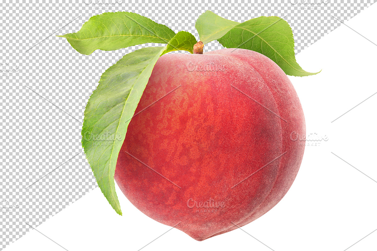 Isolated peach with leaves, an Object Graphic by Fruits+Veggies (Photo 2 of 4)