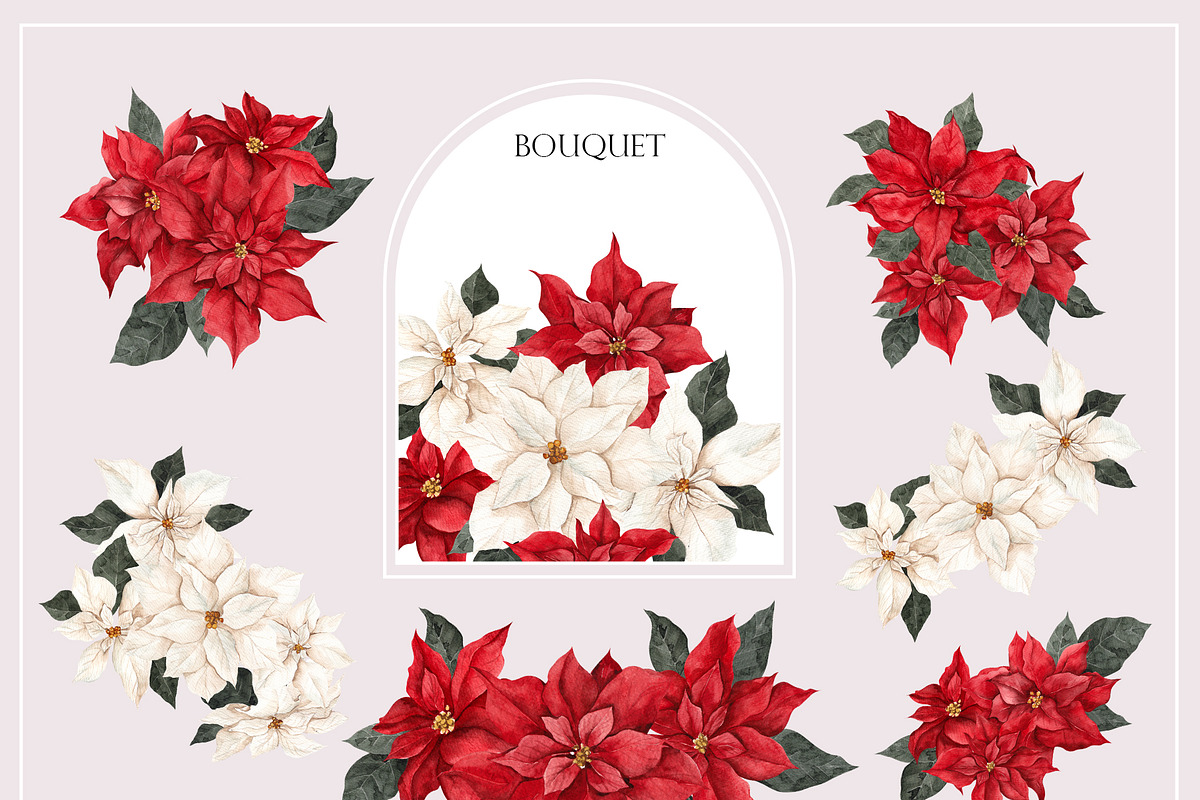 Poinsettia. Christmas Flower, an Object Illustration by ma_i_vi (Photo 2 of 10)