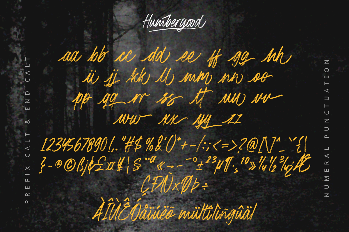 HumberGood, a Script Font by Zelda Graphic (Photo 4 of 6)