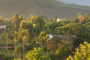 Sunset Landscape with Orange Tones, a Background Photo by 3D assets for your awesom (Thumbnail 3 of 3)