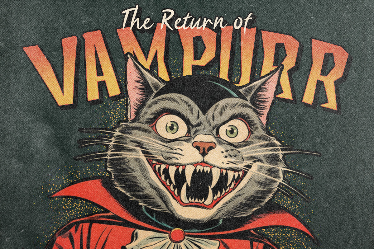 Freaknstein Horror Font Duo, a Sans Serif Font by Rillatype (Photo 5 of 9)