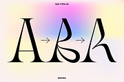 TAN - ENIGMA, a Serif Font by TanType (Thumbnail 8 of 16)