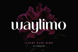 Waylimo Modern Sans Serif Font, a Sans Serif Font by UICreative