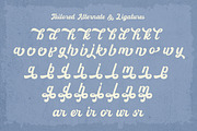 Taylored - Vintage Script Font, a Handwritten Font by Pixel Picasso Studio (Thumbnail 13 of 15)