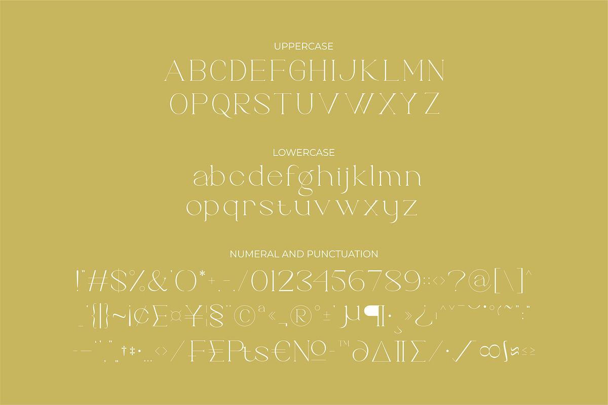 Brillant - Stylish Ligature Serif, a Serif Font by suhadidesign (Photo 9 of 10)