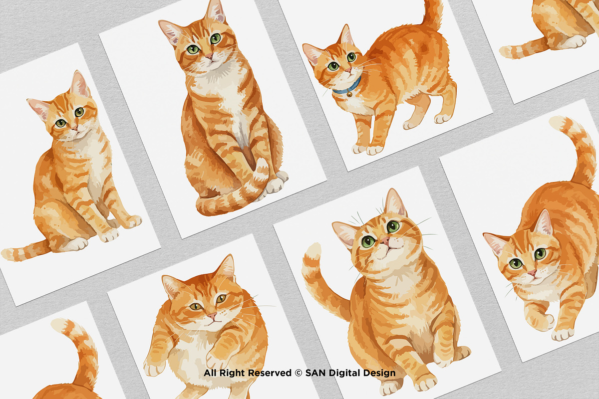 15 Bundle Watercolor Orange Cats Pet, an Animal Illustration by Morspective (Photo 3 of 8)