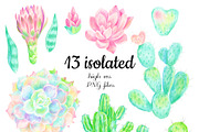 Succulents and cacti in PNG, a Decorative Illustration by Art by Lady Natali (Thumbnail 2 of 3)