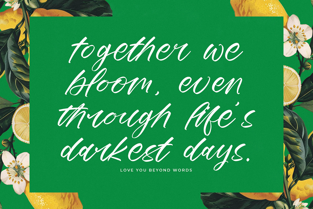 Mindful Angelic Modern Elegant Font, a Script Font by stylishtype.co (Photo 3 of 19)