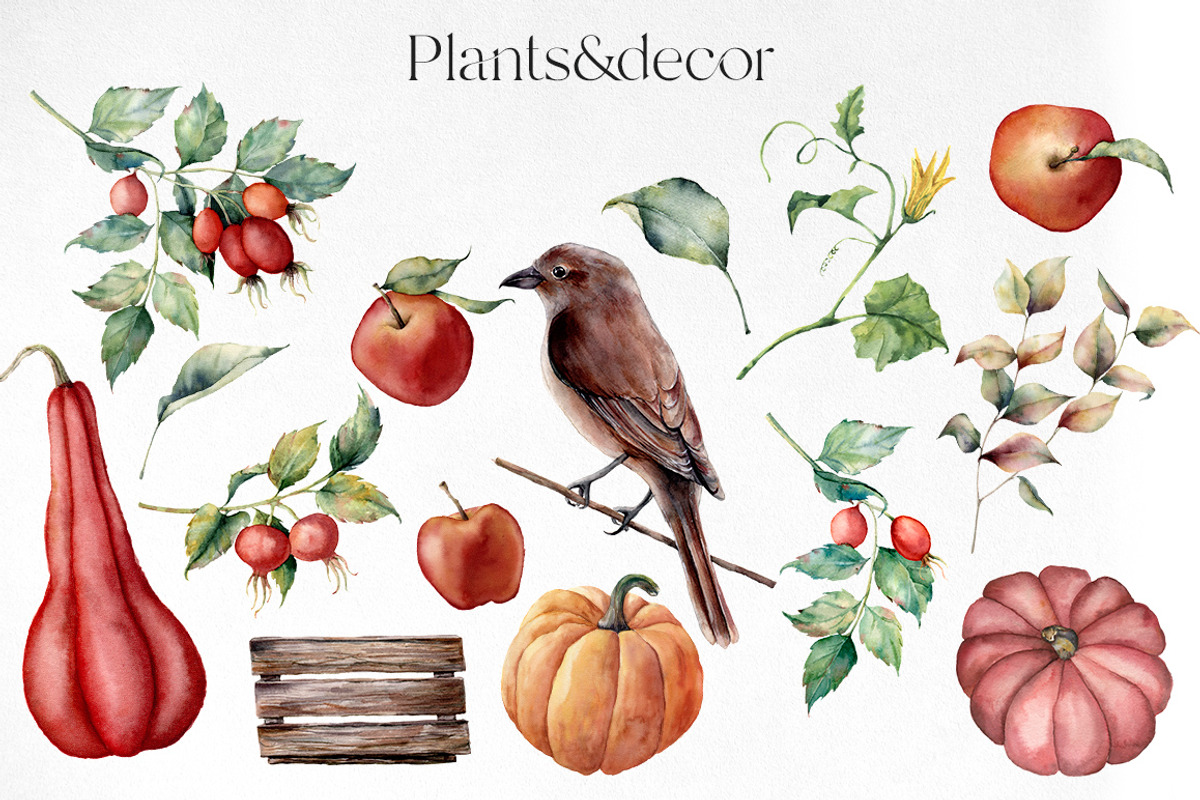 Fall Watercolor autumn flowers, a Seasonal Illustration by Yuliya Derbisheva (Photo 4 of 9)