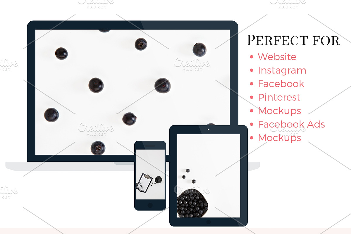 Blueberry Styled Photo Collection, a Business Photo by Fempreneur Styled Stock (Photo 4 of 4)