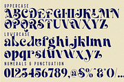 Classical Aesthetics - Ligature Font, a Serif Font by 177Studio (Thumbnail 7 of 8)