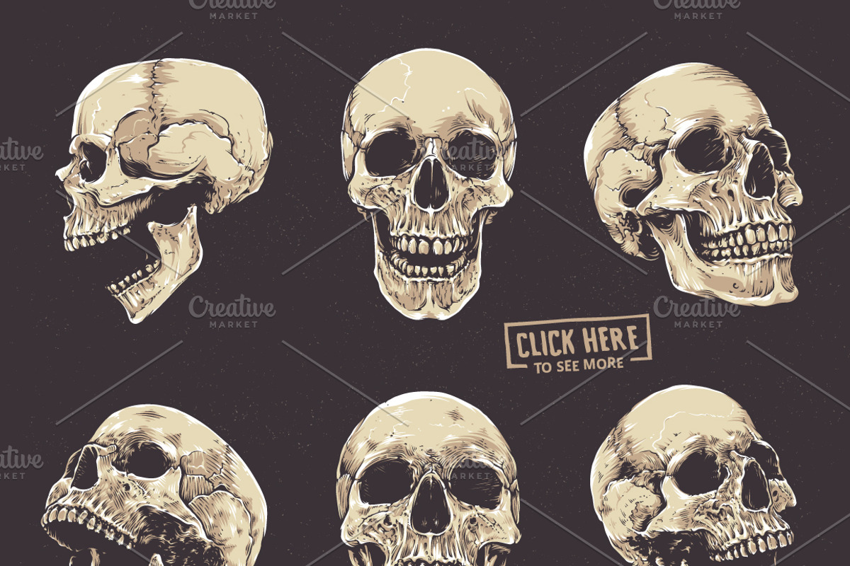 Anatomic Skulls | Vector Pack, a Decorative Illustration by Vecster (Photo 2 of 8)