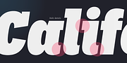Palo Slab, a Slab Serif Font by TypeUnion (Thumbnail 11 of 13)
