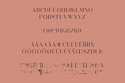 Inara Typeface - SVG + Solid fonts, a Serif Font by VP Fonts (Thumbnail 8 of 9)