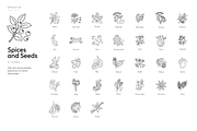180 Botanical Ingredient Line Icons, an Outline Icon by Ilia Design (Thumbnail 11 of 13)