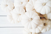 Blush Fall Pumpkins Styled Stock, a Mockup by LaPorte Images (Thumbnail 2 of 3)