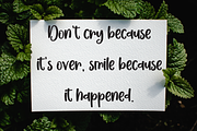 Spooky | Script Font, a Script Font by Scratchones (Thumbnail 3 of 8)